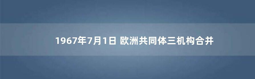 1967年7月1日欧洲共同体三机构合并 蚊字经验